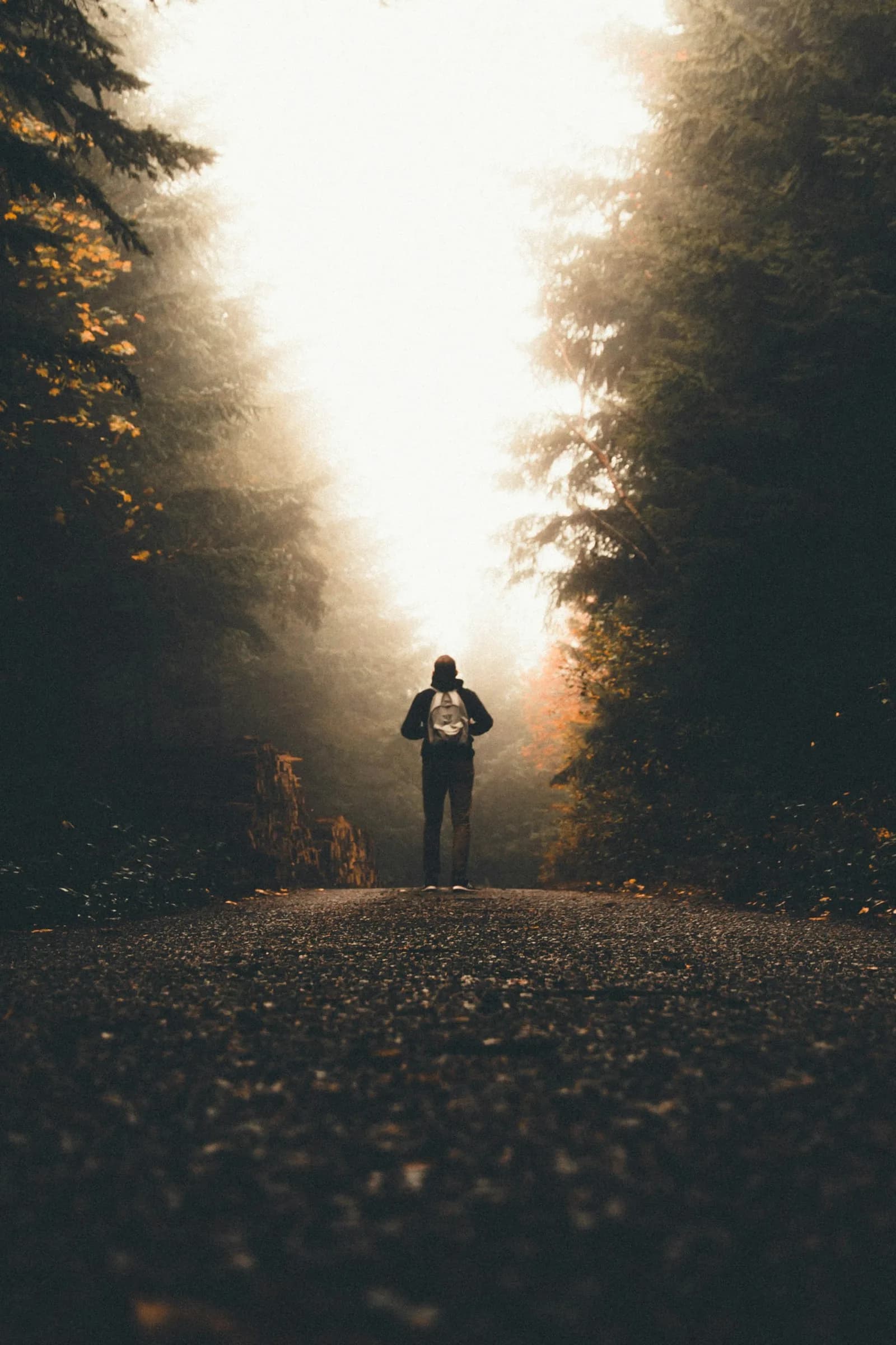 Writer working on a laptop in a quiet cafe